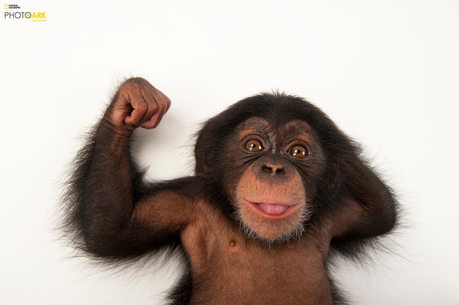 Photographer wants people to care for endangered animals