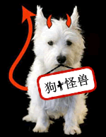 趣味翻譯:沒(méi)有自行車(chē)的魚(yú)?